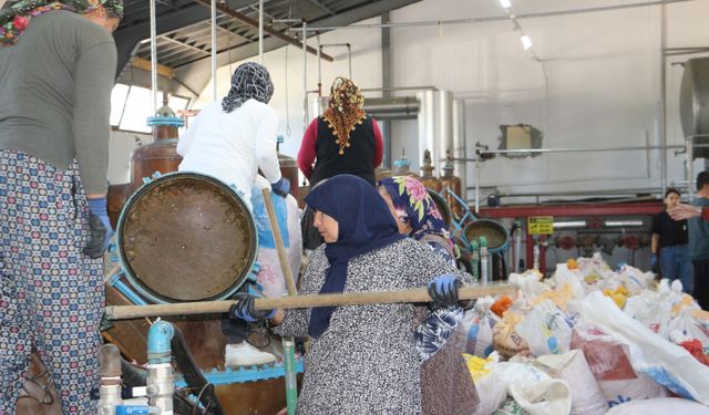 Isparta'da gül sezonu başladı