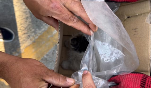 Otomobilin motor kısmında sıkışan kediyi itfaiye kurtardı