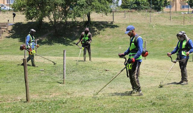 Sakarya'daki Ayçiçeği Vadisi iki büyük organizasyona ev sahipliği yapacak