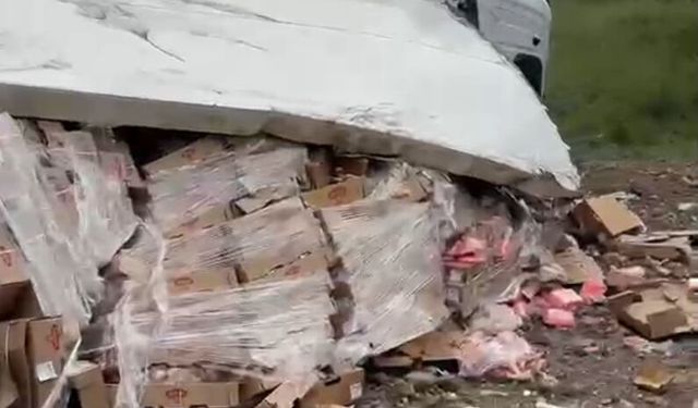Tavuk eti yüklü TIR şarampole devrildi: 2 yaralı