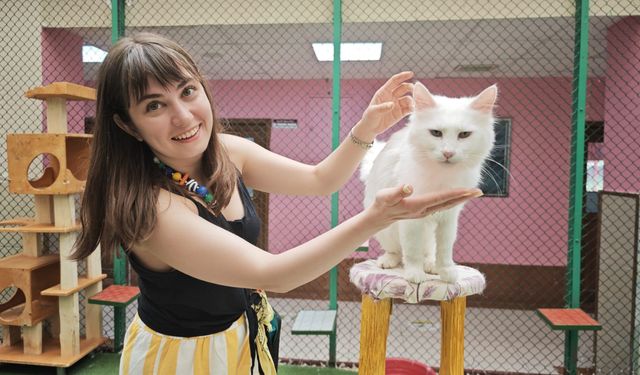Van Kedi Villası'nda ilk dönem doğumlarda 100 yavru, bayramda 50 bin ziyaretçi