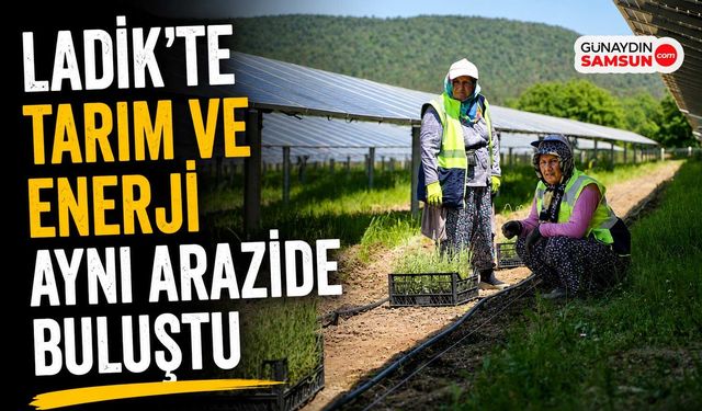 Ladik GES'te Tarım ve Enerji Bir Arada