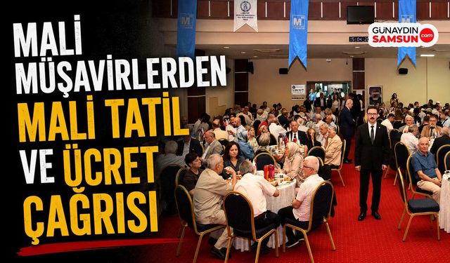 Mali Müşavirlerden Mali Tatil ve Ücret Çağrısı