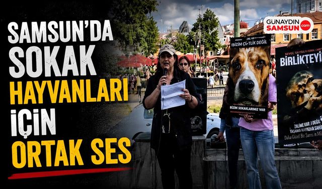 Samsun'da Sokak Hayvanları İçin Ortak Ses