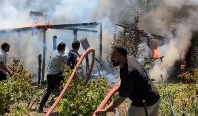 Amasya'da depo ve kameriye yandı