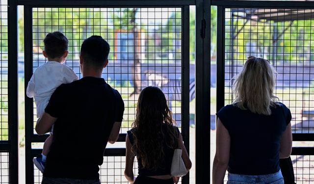 Ankara'daki 'Doğal Yaşam Parkı'nın yeni üyesi yavru zebra için isim anketi