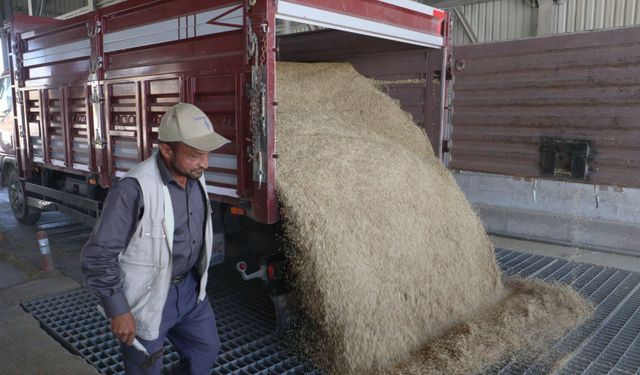 Bakan Yumaklı: Tarımsal hasılat 83,2 milyar dolar ile tarihinin en yüksek rakamına çıktı