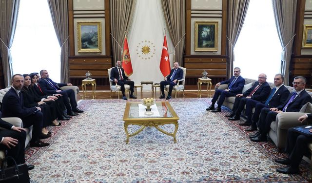 Cumhurbaşkanı Erdoğan, Karadağ Başbakanı Spajic'i kabul etti