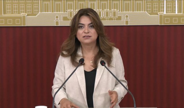 DEM Parti'li Koçyiğit: Çerçeve yasanın Meclis kapanmadan çıkacağına dair bilgiyi teyit edebilirim