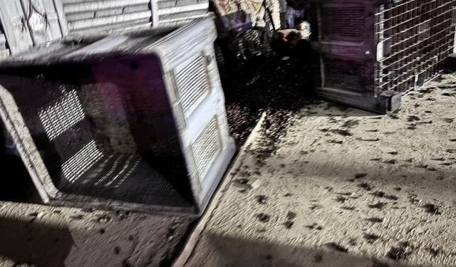 Kamyonetin traktöre ve bir tesisin duvarına çarptığı kaza kamerada: 1 ölü, 3 yaralı