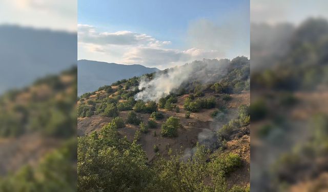 Malatya'da orman yangını 21 saat sonra kontrol altında