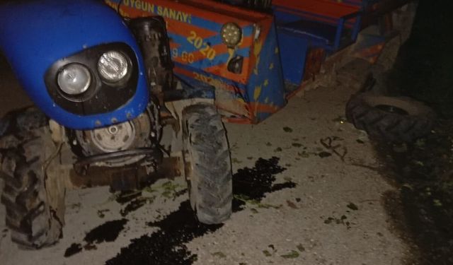 Ordu'da devrilen 'patpat'ın sürücüsü öldü
