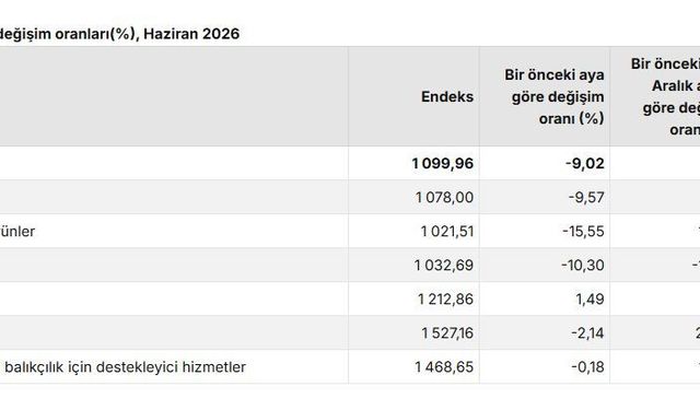TÜİK: Tarım üretici fiyatları aylık yüzde 9,02 azaldı