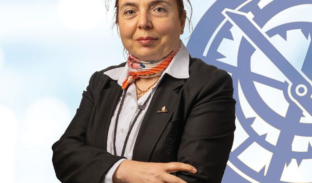 Yapay zeka 3 kentte doğal alan kaybının izini sürecek