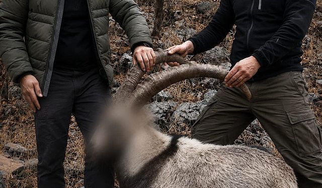 6 yıl önce 5 yaban keçisini yasa dışı avlayan 2 kişiye para cezası