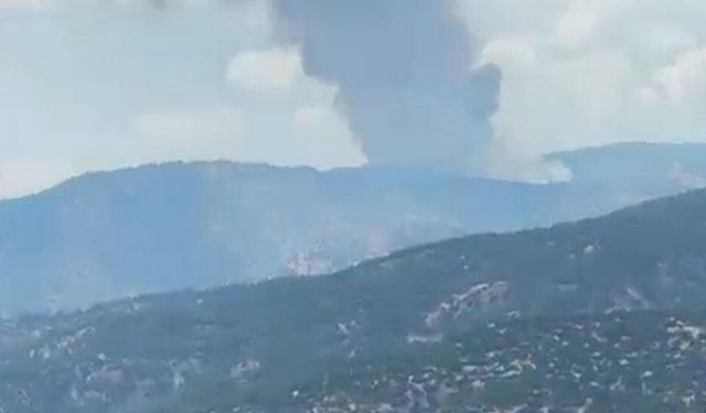 Aydın'da orman yangını