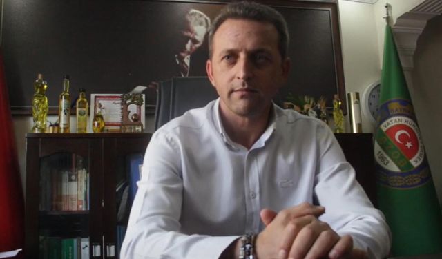 'Bayramiç beyazı'nda hasat başladı; 10 bin ton ürün bekleniyor