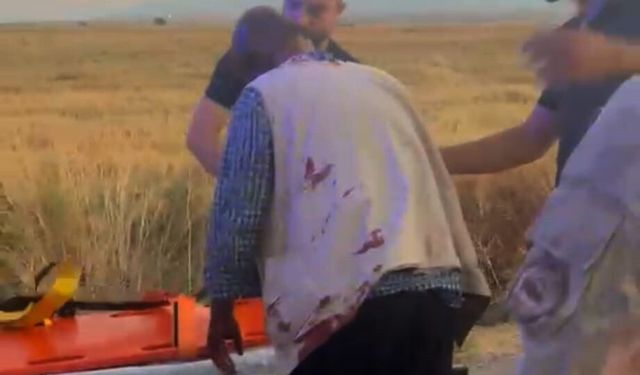 Gaziantep'te hayvan otlatma kavgası; 2 yaralı