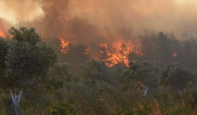 Karadeniz’de Sıcaklık ve Nem Birlikte Artacak