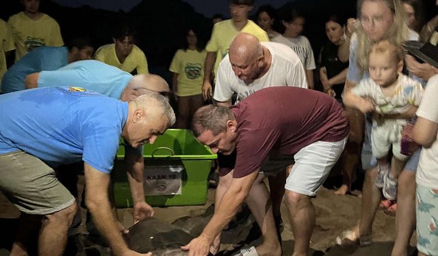 Tedavi edilen yaralı deniz kaplumbağası Kaan-19, 1 yıl sonra doğal yaşam ortamına bırakıldı