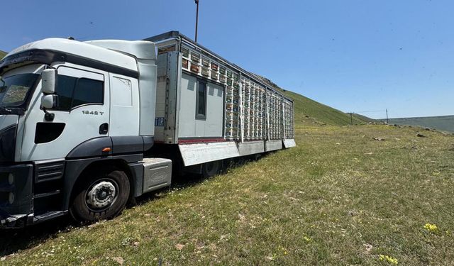 TIR dorsesini 'mobil bal üretim' tesisine dönüştürdü