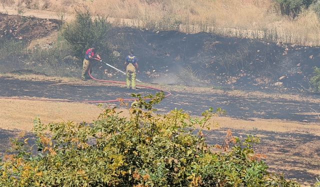 Tokat'ta ot yangını, büyümeden söndürüldü