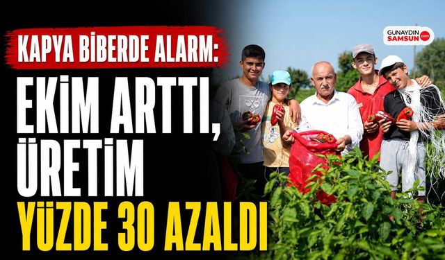 Kapya Biberde Alarm: Ekim Arttı, Üretim Yüzde 30 Azaldı