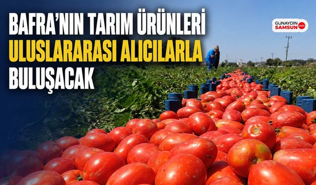 Bafra’nın Tarım Ürünleri Uluslararası Alıcılarla Buluşacak