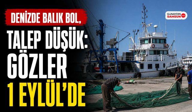Denizde Balık Bol, Talep Düşük: Gözler 1 Eylül’de