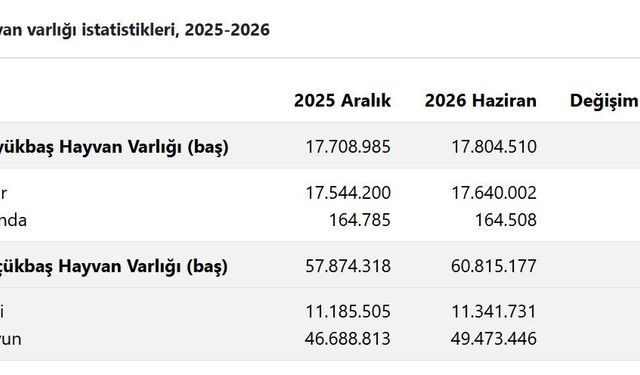Hayvan varlığı haziran ayında arttı