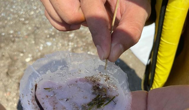 Plastik üretimi 24 yılda yüzde 84 arttı: 2060'a kadar üç katına çıkabilir