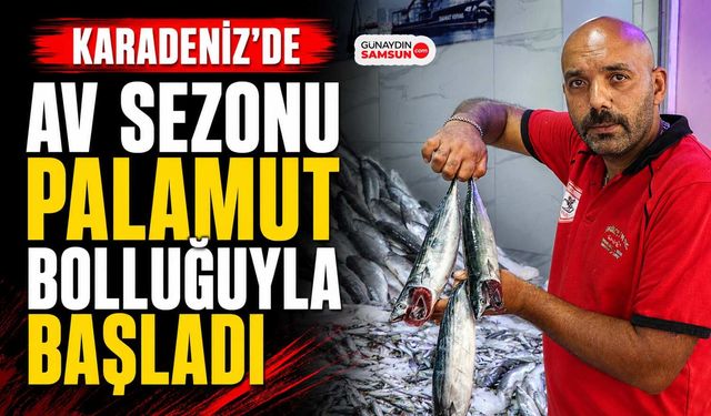 Karadeniz’de Av Sezonu Palamut Bolluğuyla Başladı