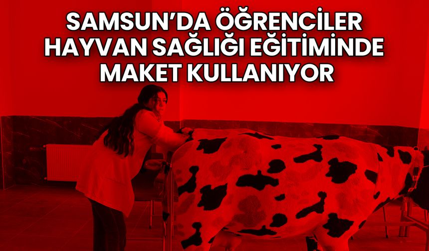 Samsun’da Öğrenciler Hayvan Sağlığı Eğitiminde Maket Kullanıyor