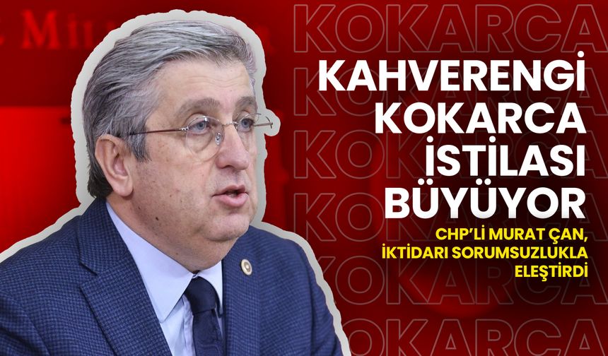 Kahverengi Kokarca İstilası Büyüyor! CHP'li Çan'dan İktidara Eleştiri