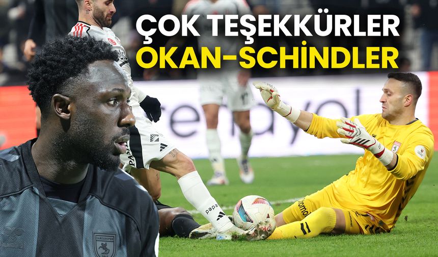 Çok Teşekkürler Okan-Schindler