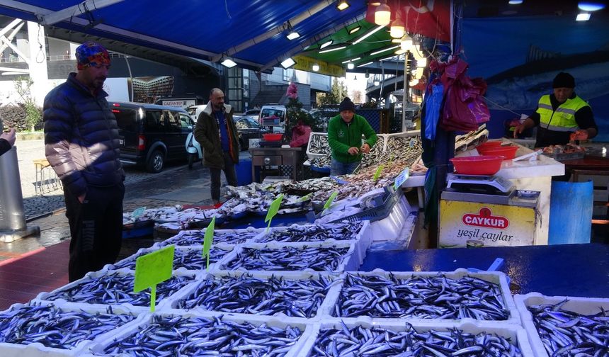 Rize’de Balık Sezonu Erken Bitiyor! Hamsi Tezgahtan Kayboluyor