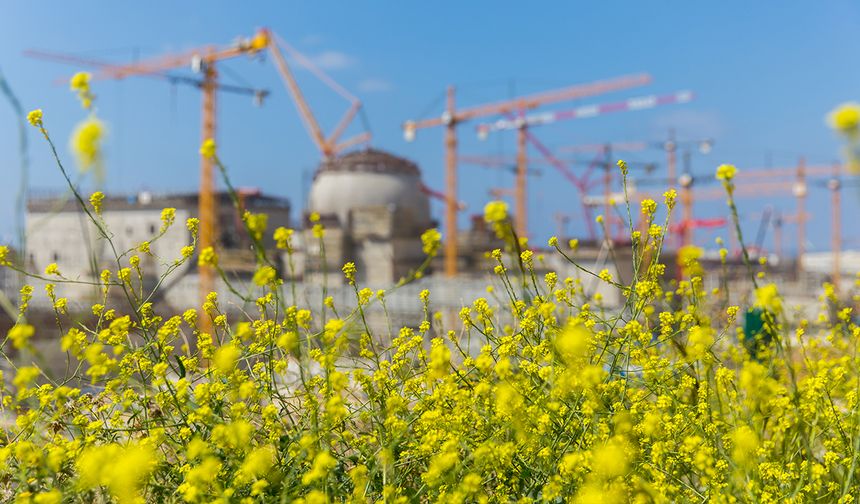 Nükleer Teknolojiler Tarımı Dönüştürüyor! İşte Yeni Strateji