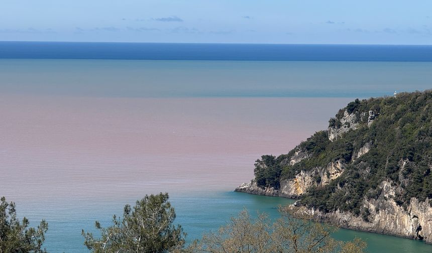 Bartın'da deniz çamur rengini aldı