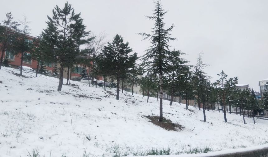 Çorum'da kar yağışı