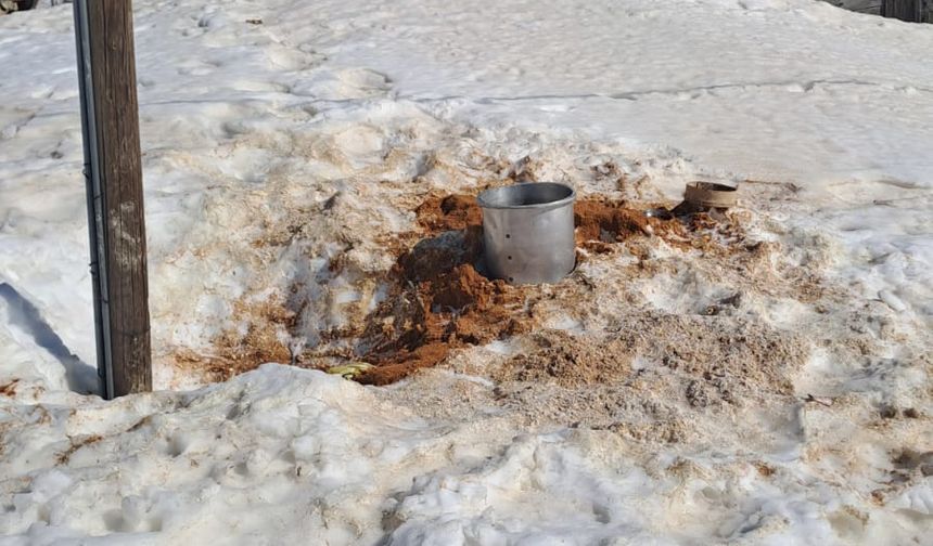 Rize’de kış uykusundan uyanan ayılar 30 eve zarar verdi