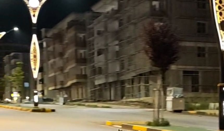 Başına poşet takılan çakalı vatandaş kurtardı; o anlar kamerada
