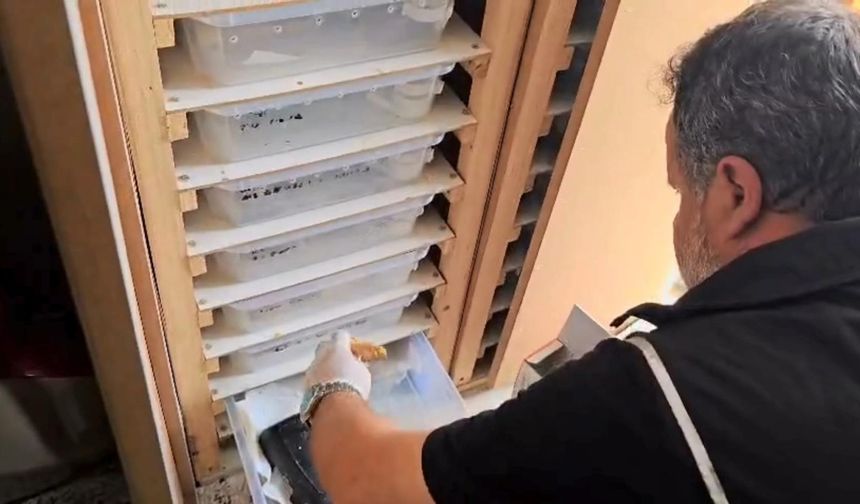 Yasa dışı egzotik hayvan bulunduran şüphelilere 472 bin TL ceza