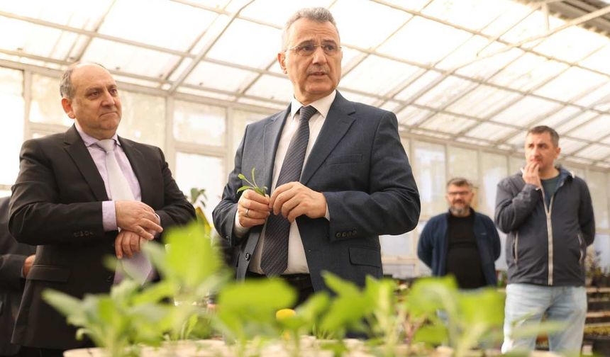 İlkadım'da Aromatik Bitkiler Yaygınlaşıyor