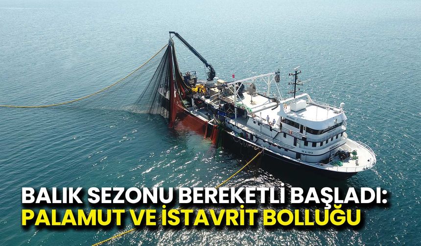 Sinop’ta Balık Sezonu Bereketli Başladı: Palamut ve İstavrit Bolluğu