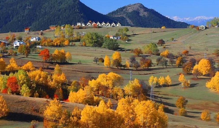 'Sakin şehir' Şavşat'ta sonbaharda renk cümbüşü / Video eklendi