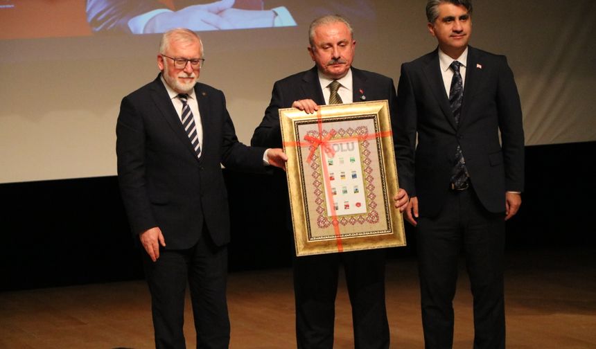 Şentop: Üniversiteyi bitirmiş olma aşamanın önemsenmesi evlenme yaşını yukarı taşıyor