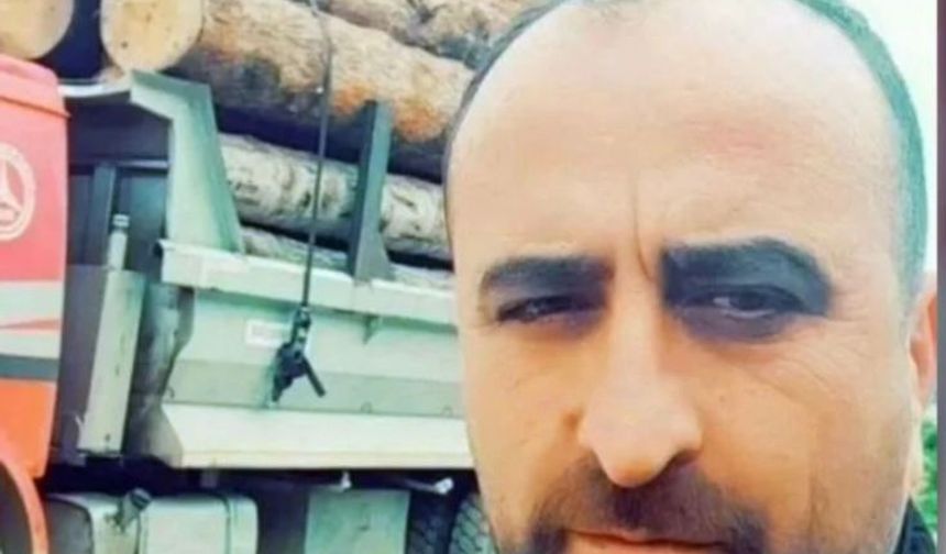 Üzerine ağaç devrilen kesim işçisi öldü