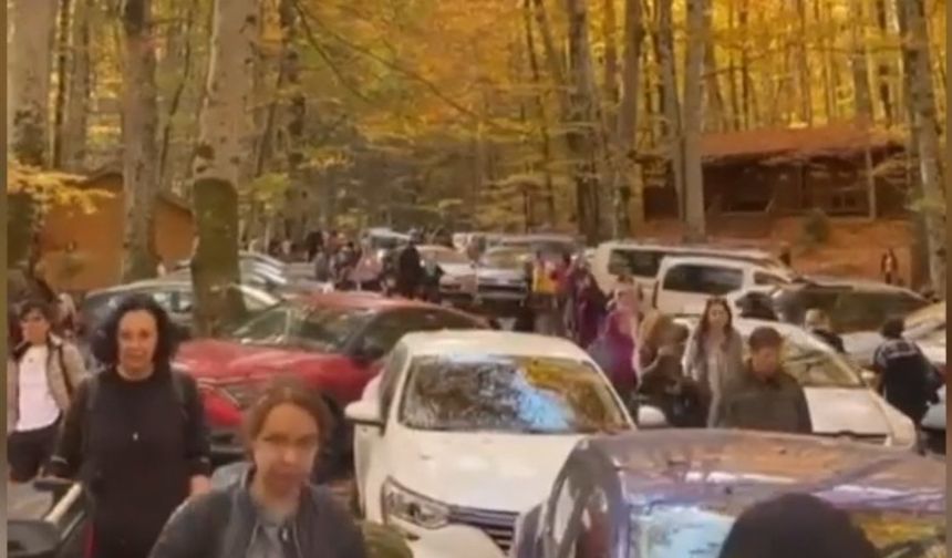 Yedigöller'i 2 ayda 180 bin kişi ziyaret etti