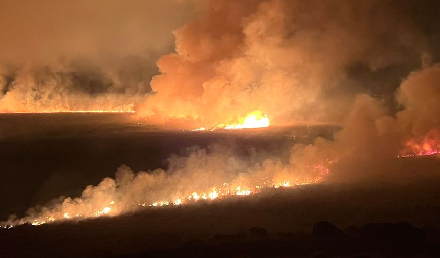 Yüksekova'daki Nehil Sazlığı'nda yangın
