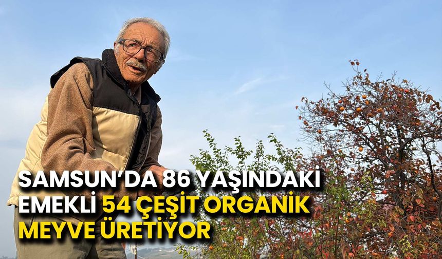 86 yaşında, arazisinde 54 farklı organik meyve yetiştiriyor